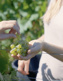 VILLA LES TROIS CLOCHERS