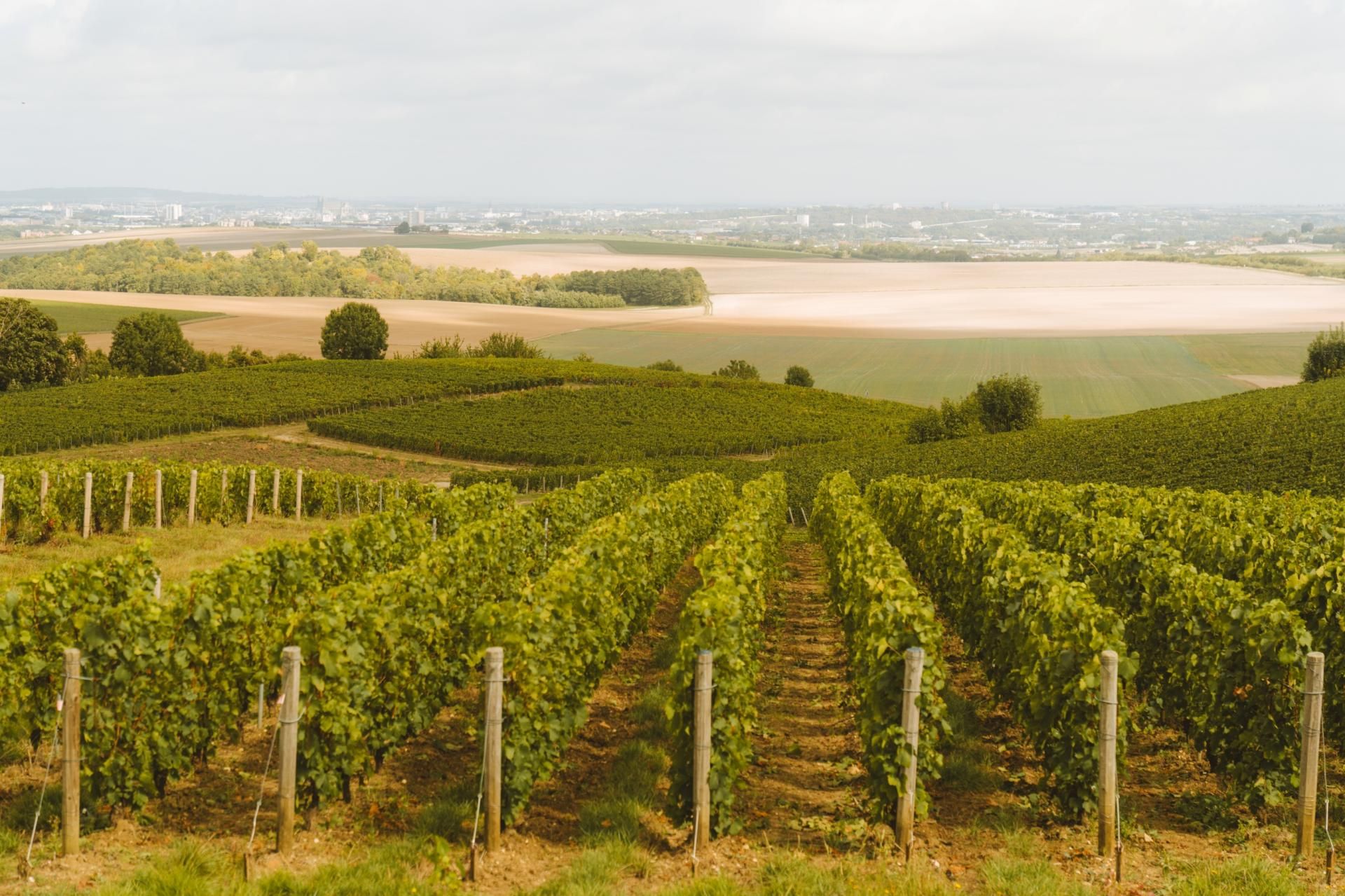 Le Clos des 3 Clochers  - Le Clos