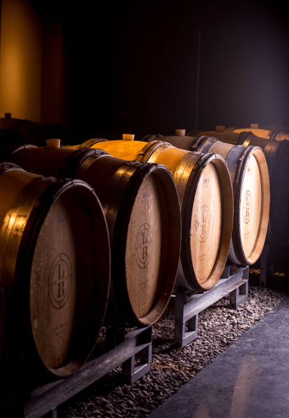 Le Clos des 3 Clochers  - The Clos